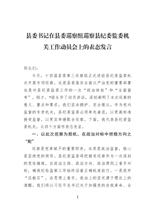 县委书记在县委巡察组巡察县纪委监委机关工作动员会上的表态发言