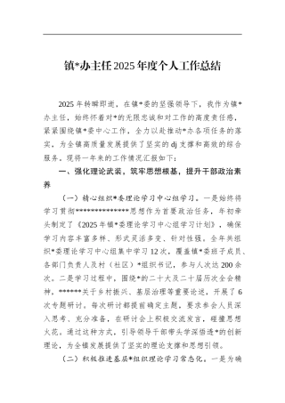 镇党办主任2025年度个人工作总结
