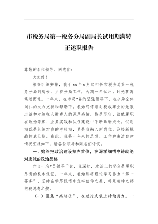 市税务局第一税务分局副局长试用期满转正述职报告