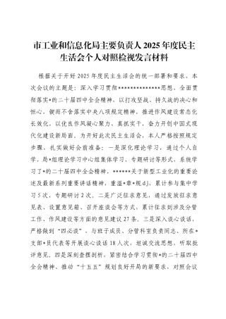 市工业和信息化局主要负责人2025年度民主生活会个人对照检视发言材料