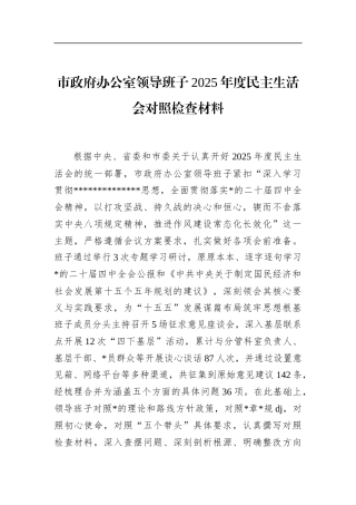 市政府办公室领导班子2025年度民主生活会对照检查材料