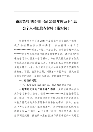 市应急管理局书记2025年度民主生活会个人对照检查材料（带案例）