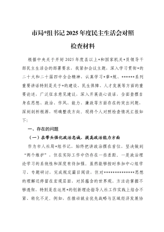市局书记2025年度民主生活会对照检查材料