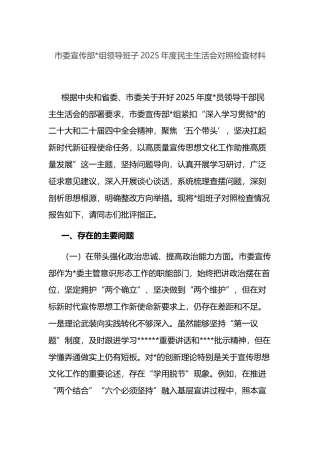 市委宣传部领导班子2025年度民主生活会对照检查材料