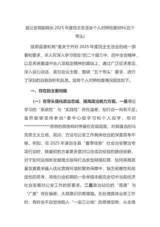 县公安局副局长2025年度民主生活会个人对照检查材料(五个带头)