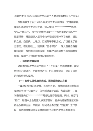 县委办主任2025年度民主生活会个人对照检查材料(五个带头)