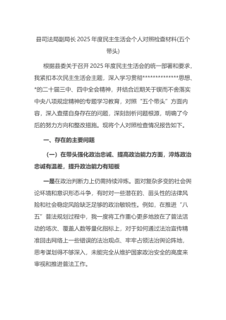 县司法局副局长2025年度民主生活会个人对照检查材料(五个带头)