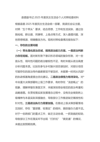 县委副书记2025年度民主生活会个人对照检查材料