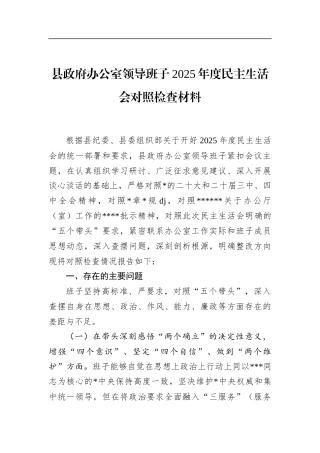 县政府办公室领导班子2025年度民主生活会对照检查材料
