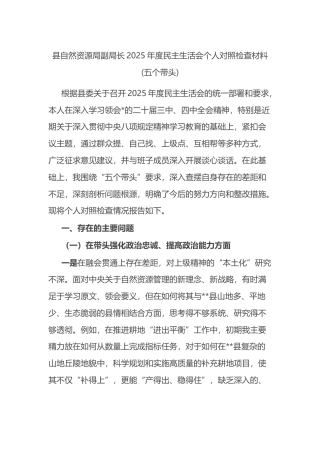 县自然资源局副局长2025年度民主生活会个人对照检查材料(五个带头)