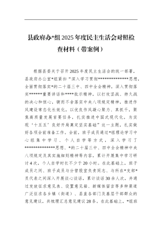 县政府办2025年度民主生活会对照检查材料（带案例）