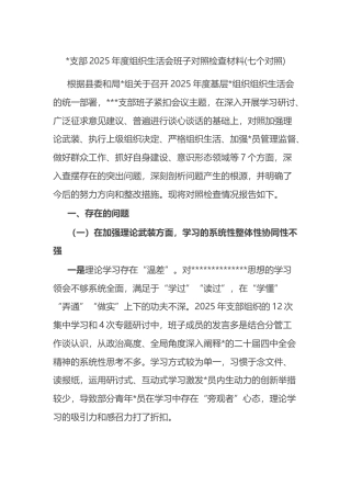 支部2025年度组织生活会班子对照检查材料(七个对照)