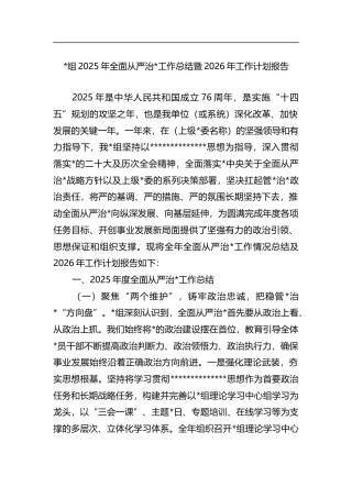 2025年全面从严治党工作总结暨2026年工作计划报告