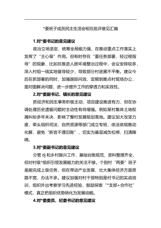 班子成员民主生活会相互批评意见汇编