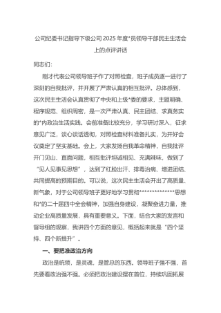 公司纪委书记指导下级公司2025年度党员领导干部民主生活会上的点评讲话