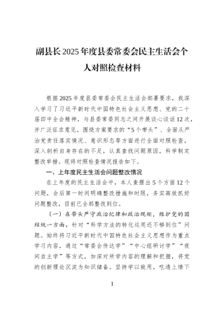 副县长2025年度县委常委会民主生活会个人对照检查材料