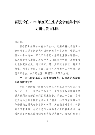 副县长在2025年度民主生活会会前集中学习研讨发言材料