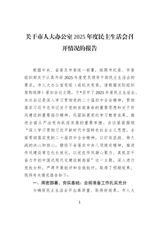 关于市人大办公室2025年度民主生活会召开情况的报告