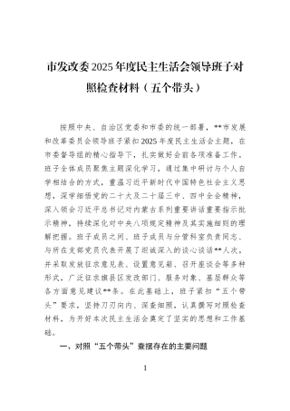 市发改委2025年度民主生活会领导班子对照检查材料（五个带头）