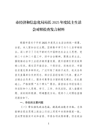 市经济和信息化局局长2025年度民主生活会对照检查发言材料