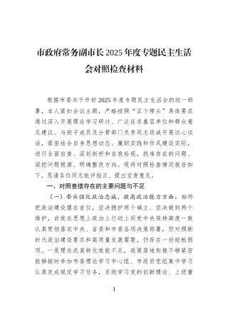 市政府常务副市长2025年度专题民主生活会对照检查材料