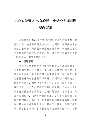 市政府党组2025年度民主生活会查摆问题整改方案