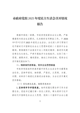 市政府党组2025年度民主生活会召开情况报告