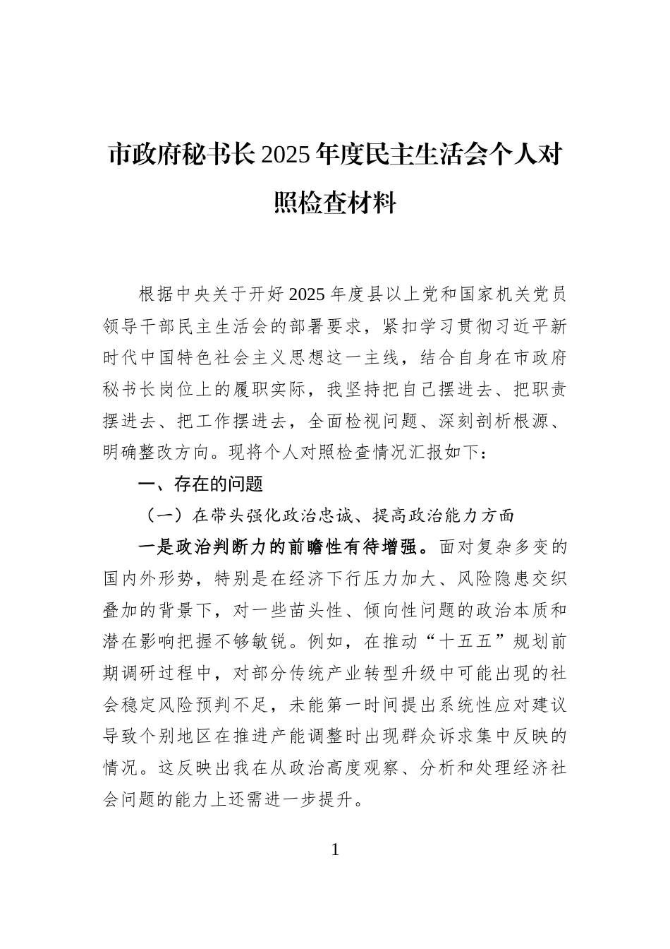 市政府秘书长2025年度民主生活会个人对照检查材料_第1页