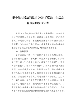 市中级人民法院党组2025年度民主生活会查摆问题整改方案