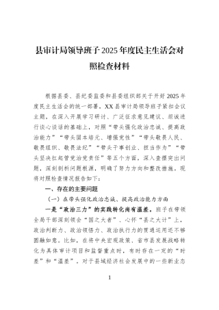 县审计局领导班子2025年度民主生活会对照检查材料