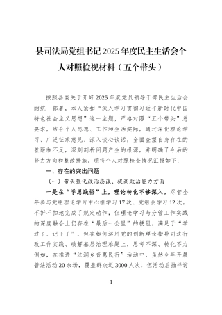 县司法局党组书记2025年度民主生活会个人对照检视材料（五个带头）