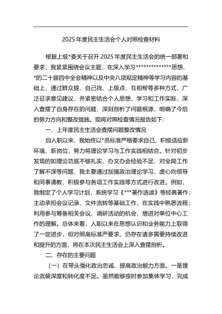2025年度民主生活会个人对照检查材料
