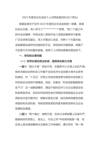 2025年度民主生活会个人对照检查材料(五个带头)
