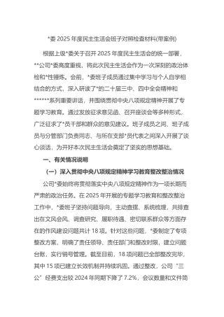 2025年度民主生活会班子对照检查材料(带案例)