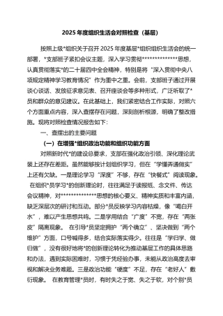 2025年度组织生活会对照检查（基层）
