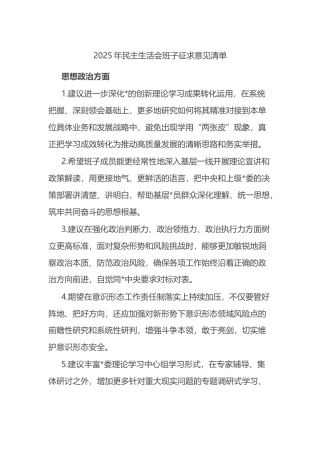 2025年民主生活会班子征求意见清单