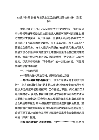 县审计局2025年度民主生活会班子对照检查材料（带案例）