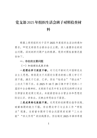 党支部2025年组织生活会班子对照检查材料