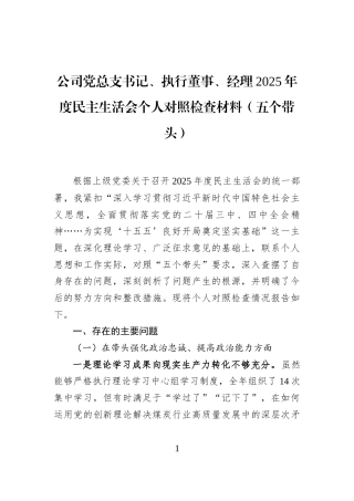 公司党总支书记、执行董事、经理2025年度民主生活会个人对照检查材料（五个带头）