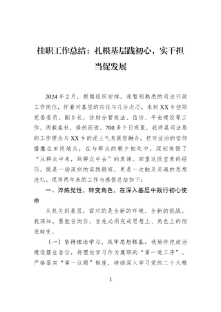 挂职工作总结：扎根基层践初心，实干担当促发展