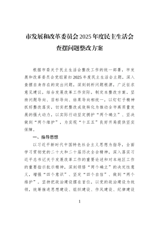 市发展和改革委员会2025年度民主生活会查摆问题整改方案