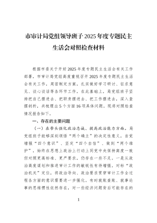 市审计局党组领导班子2025年度专题民主生活会对照检查材料