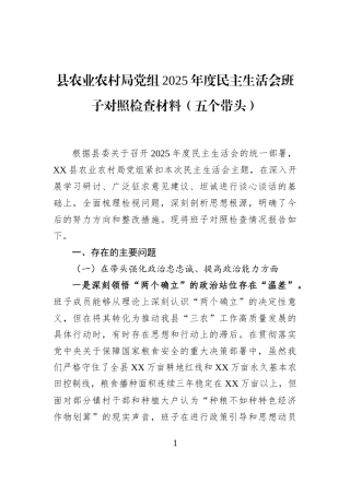 县农业农村局党组2025年度民主生活会班子对照检查材料（五个带头）