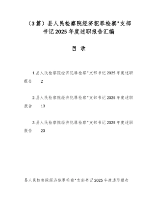 县人民检察院经济犯罪检察支部书记2025年度述职报告（3篇）