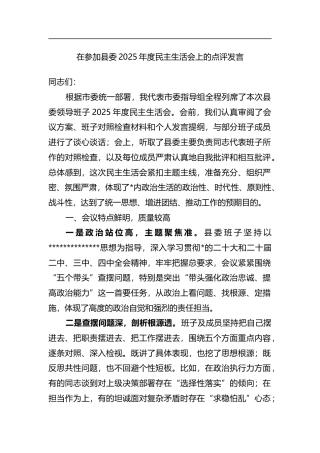 在参加县委2025年度民主生活会上的点评发言