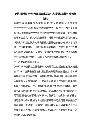 乡镇书记2025年度民主生活会个人对照检查材料(带案例剖析)