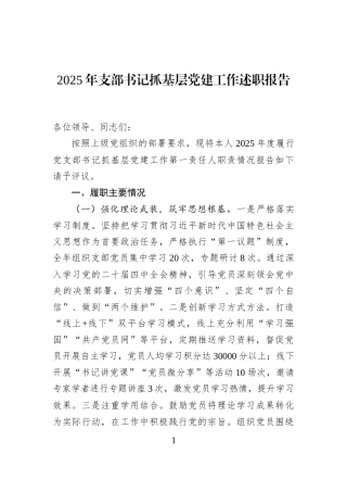 2025年支部书记抓基层党建工作述职报告