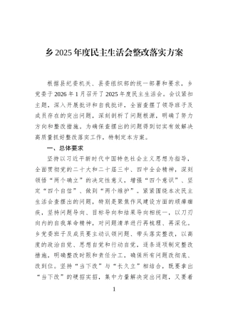 乡2025年度民主生活会整改落实方案