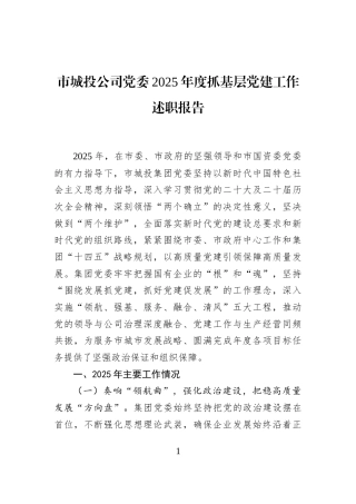 市城投公司党委2025年度抓基层党建工作述职报告