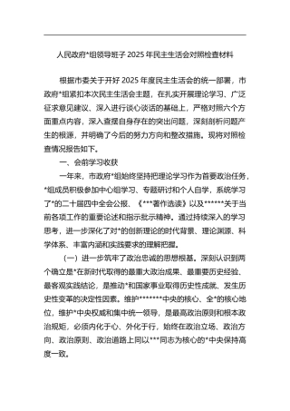 人民政府领导班子2025年民主生活会对照检查材料